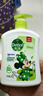 滴露（Dettol）洗手液茉莉绿茶清香500g*2 儿童洗手液家庭抑菌消毒 迪士尼 实拍图