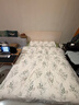 洁丽雅（Grace）7A抗菌100%纯棉四件套新疆棉床上用品床单被套200*230cm1.5/1.8米床 实拍图