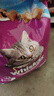 伟嘉成猫猫粮3.6kg海洋鱼味布偶英短猫咪夹心粮全价粮【原料透明】 实拍图