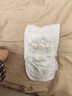 帮宝适超薄透气清新帮纸尿裤新生儿婴儿尿不湿尿片透氧Pro XL38 实拍图