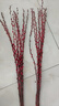 开时果 银柳鲜枝干花年宵花卉 红色真花福桶银柳水培植物室内装饰鲜花 A级银柳100cm20枝（喜庆红）+小灯笼2个 实拍图