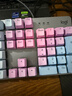 罗技（Logitech）K845机械键盘 有线键盘 办公电脑打字键盘  电竞游戏发光全尺寸个性化定制键帽 K845茶轴+蓝色妖姬键帽 实拍图