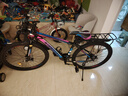 金武端自行车成人山地车公路赛车单车骑行变速超轻越野中学生初中青少年 顶配版-辐条轮-炫彩蓝 26寸21速 实拍图