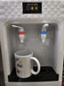夏新 立式饮水机家用桶装水冷热两用制冷制热饮水器台式小型喝水机热水机矿泉水落地式上置水桶 白色单门 制热型 实拍图