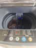 志高（CHIGO）全自动洗衣机 波轮宿舍迷你小型家用 洗烘一体 智能洗脱一体机 大容量 风干 蓝光洗护 强动力电机 【7.5Kg-主销款-智能风干-强动力电机】 波轮 实拍图