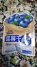 三只松鼠每日蓝莓干500g 蜜饯果干酸甜休闲零食下午茶孕妇儿童健康零食 实拍图