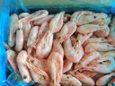 禧美海产 头籽北极甜虾净重3斤 90/120规格 95%头籽 MSC认证 海鲜水产 实拍图