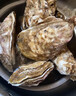 乳山牡蛎 鲜活乳山生蚝5XL 净重5斤 9-10只 生鲜海鲜 源头直发 烧烤食材 实拍图