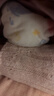 好奇（Huggies）金装拉拉裤XXL42片(15kg以上)尿不湿【速干不易红】 实拍图
