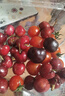 田良季智利进口车厘子【JD-多地次日达】新鲜生鲜大樱桃水果送礼品物盒 3斤(净重) 礼箱装【很划算】 巨无霸 JJJ 30-32mm丨个大超甜 实拍图