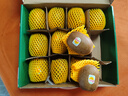 佳沛（zespri）意大利 阳光金奇异果12粒礼盒特大果单果约122-146g 猕猴桃 水果 实拍图