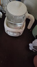 海尔（Haier）恒温水壶婴儿调奶器温奶热奶暖奶瓶冲泡奶粉器保温电热烧水养生壶 实拍图