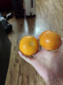 京鲜生 广西优级沃柑 净重5斤单果130g起 生鲜桔子水果年货礼盒 实拍图