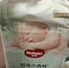 好奇（Huggies）小森林纸尿裤XL32片(12-17kg)尿不湿心钻【透氧顶配更低敏】 实拍图