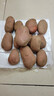 内蒙红皮大土豆新鲜黄心土豆现挖洋芋地蛋马铃薯粉面火锅批发 红皮土豆大果 2斤 【单果150g+】 实拍图