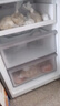 美的（Midea）238升三门冰箱灰色小型风冷家用变频一级能效宿舍租房以旧换新小冰箱MR-249WTPE【国家补贴】 实拍图
