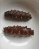 辽参大连冷冻海参1斤10-12只非即食独立包装自营旗舰店 固形物85% 实拍图