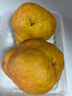 京鲜生 山东烟台中华丑梨 净重4.5斤 6-9粒 生鲜水果 源头直发 实拍图
