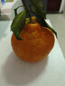 泰汇吃四川蒲江不知火丑橘 丑八怪丑柑新鲜时令应季水果 净重4.5-5斤装【单果180-250g】 实拍图