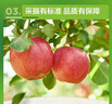 京鲜生 新疆阿克苏苹果  净重5斤装 果径90-95mm 新鲜水果 实拍图
