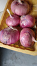 山东特产水果扁洋葱甜瓜口感红皮扁葱头生吃脆甜蘸酱好吃粉嫩 紫皮洋葱大果带箱 3斤 精选 实拍图