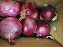 京鲜生云南紫皮洋葱 净重9斤 带皮洋葱头 新鲜蔬菜 紫皮大圆葱 源头直发 实拍图