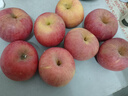 甜醉了 烟台苹果栖霞红富士新鲜水果生鲜山东特产脆甜整箱平果礼盒礼品 净重4.5斤80-85mm 实拍图