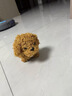 儿童电动毛绒玩具狗会走会叫电子教育孩子益智启蒙 1只毛绒小宠物【颜色随机】 实拍图