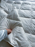 皇朝家私防钻绒系列 白鸭毛羽毛被 冬被 1800g 200*230cm 白色 实拍图