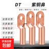 标准堵油DT紫铜鼻电线电缆附件镀锡紫铜鼻子铜线耳DT铜鼻子 DT -300平方 实拍图