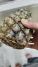 正宗海南金钻凤梨新鲜水果当季树上熟芒果凤梨【催熟食用】 1粒装单果500g-650g【7成熟，催熟再吃】 实拍图