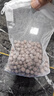 汉洋（HANYANG）鱼缸中空石英球过滤材料细菌屋硝化培菌球桶龟缸生化石水族箱2斤 实拍图