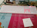 B.FRIENDit 超薄静音键盘 巧克力键盘 有线USB剪刀脚薄膜键盘 台式电脑笔记本外接家用多媒体游戏办公键盘 粉红色【配立体键盘膜】 实拍图