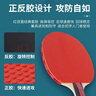 红双喜 DHS sh-03乒乓球拍儿童小学生入门级娱乐乒乓拍 双横对拍+6球 实拍图