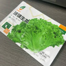【京东物流】蔬菜种子四季播盆栽阳台庭院香菜生菜菠菜简单秋易种 油麦菜种子1包约1000粒 实拍图