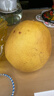京觅浙江玉环文旦柚 5.5斤 2粒礼盒装 单果2.4斤+ 生鲜水果 源头直发 实拍图