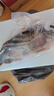 京乐狳桂鱼淡水鳜鱼鳌花鱼现捕鲜活现杀整条季花鱼 一条约750g(净膛前)现杀现发 一条装 实拍图