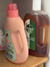 滴露（Dettol）消毒液洗衣衣物消毒水750mL除螨 家居地板杀菌 灭杀甲流感 非84 实拍图