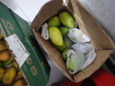 集南鲜 越南青玉芒果 芒果当季大青皮黄皮大芒果新鲜水果整箱 含箱10斤 单果250g起  净重9斤 实拍图
