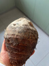 生鲜密语广西荔浦芋头 地标农产品 粉面香芋 根茎类新鲜蔬菜 生鲜火锅食材 4.5斤净重4.4斤 (3-5个） 实拍图