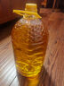 多力【张若昀同款】压榨玉米胚芽油5L 非转基因食用油 实拍图