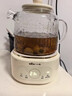 小熊（Bear）全玻璃养生壶 纯玻璃多功能恒温壶 办公室轻音炖煮花茶 1L YSH-J10D1 实拍图
