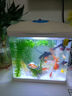 森森（SUNSUN）鱼缸水族箱生态桌面金鱼缸玻璃小型客厅制氧过滤免换水家用缸 高清玻璃 230白色标配 （带20件套） 实拍图