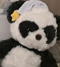 babycare熊猫安抚玩偶睡眠手偶阿贝贝婴儿宝宝睡觉毛绒玩具新生儿见面礼盒 实拍图