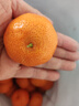 京鲜生 广西荔浦砂糖橘 净重4.5斤 单果35-45mm  年货水果 源头直发包邮 实拍图