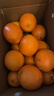 江西赣南脐橙 橙子纽荷尔甜橙水果甜橙子现摘当季正箱新鲜水果 9斤装净重（单果220g起） 实拍图