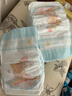 泰迪熊（Teddy Bear）臻薄透气纸尿裤L80片(9-14公斤)婴儿尿不湿超薄干爽 实拍图