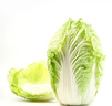 【霜打菜】大白菜约2kg 实拍图