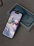 Apple/苹果【政府补贴需现场签收激活】 iPhone 15 (A3092) 128GB 蓝色 支持移动联通电信5G 双卡双待 实拍图