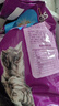 伟嘉成猫猫粮3.6kg海洋鱼味布偶英短猫咪夹心粮全价粮【原料透明】 实拍图